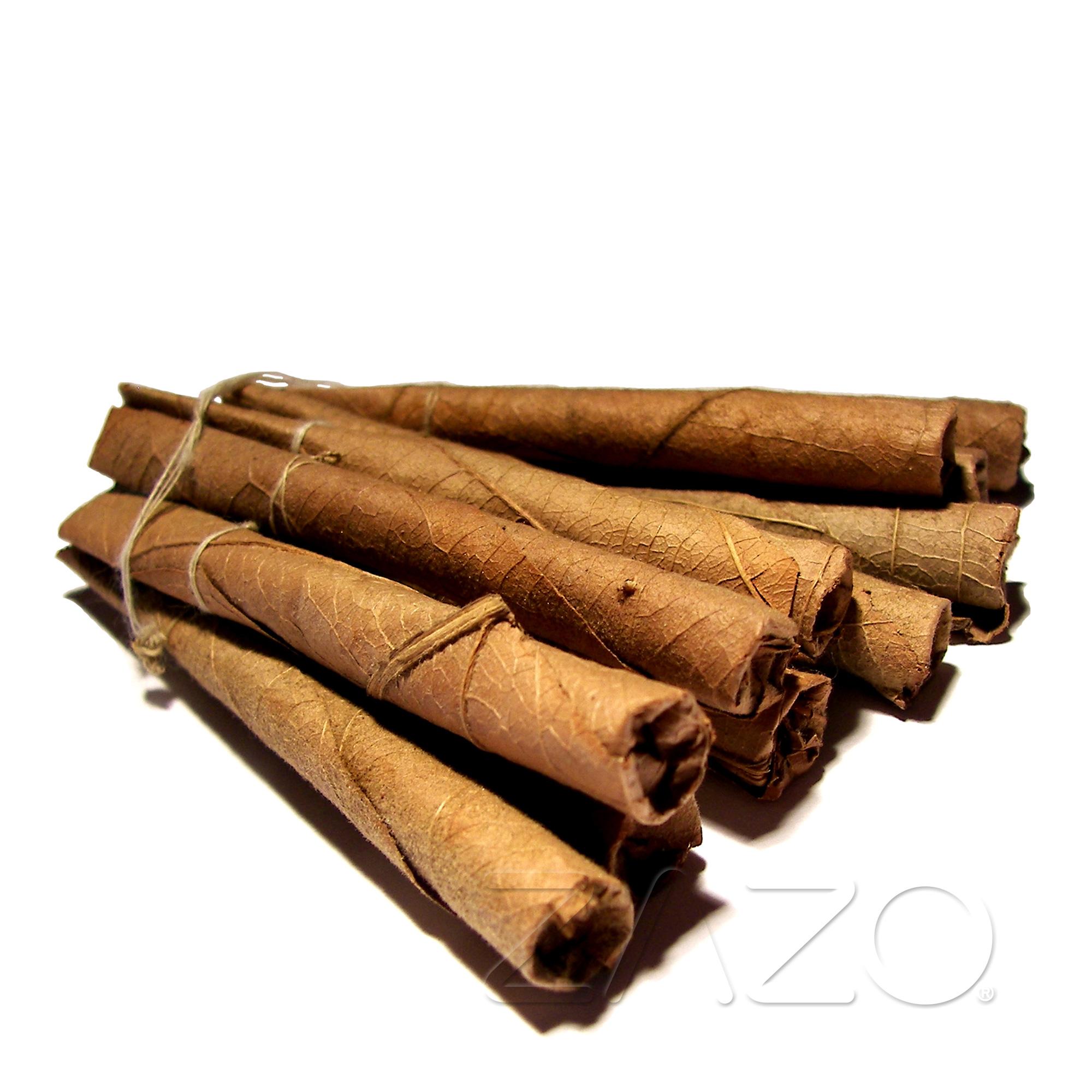 Zazo Tobacco 2 E-Liquid 0mg/ml 1 x 10ml