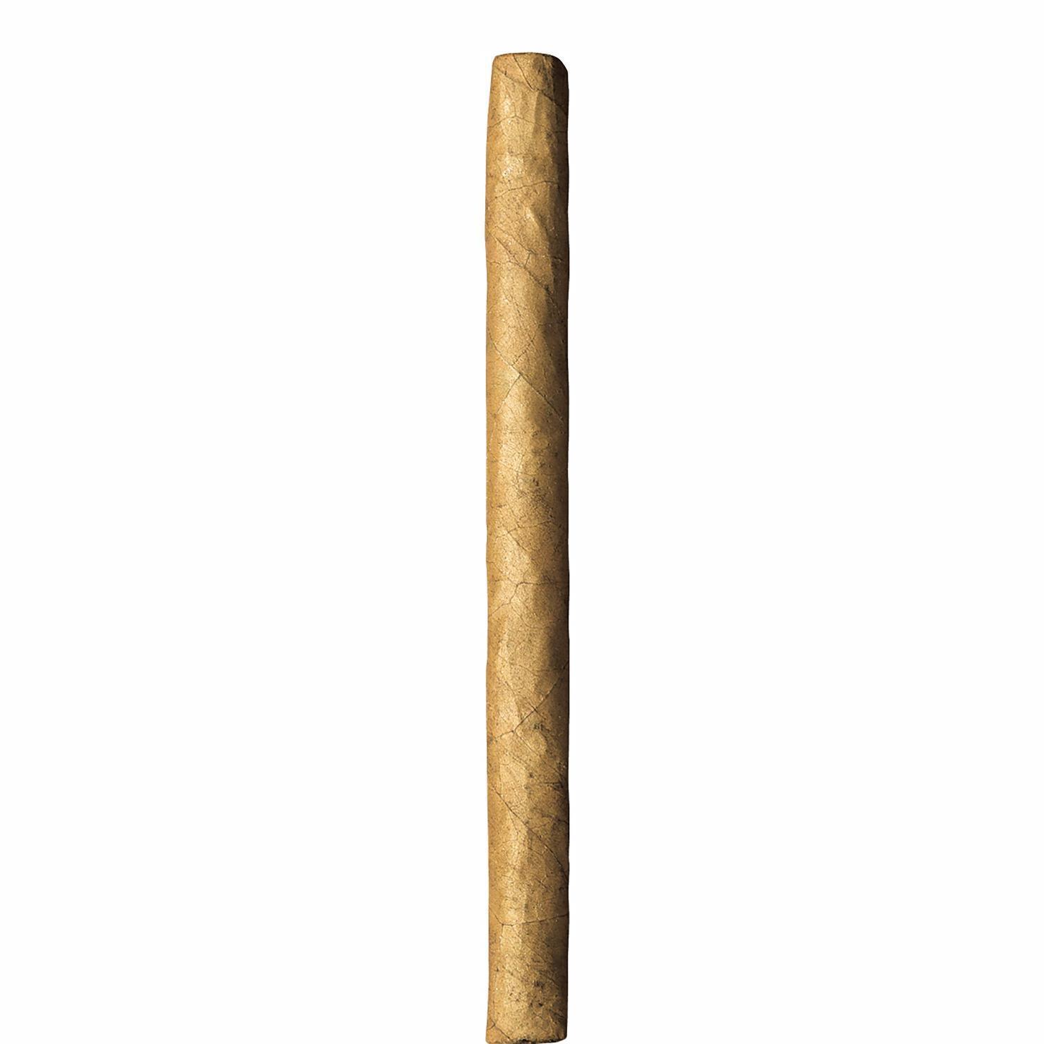 Villiger Premium Nr. 10 Sumatra  10 x 20 Zigarillos